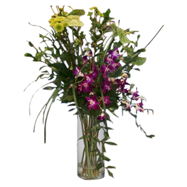 Tropics in a Vase
