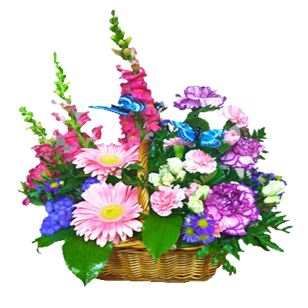 Butterflies in Spring
