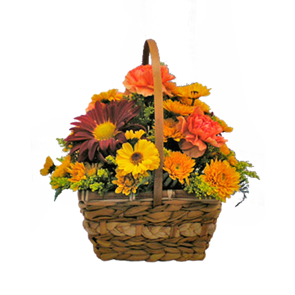 Bounty of Autumn
