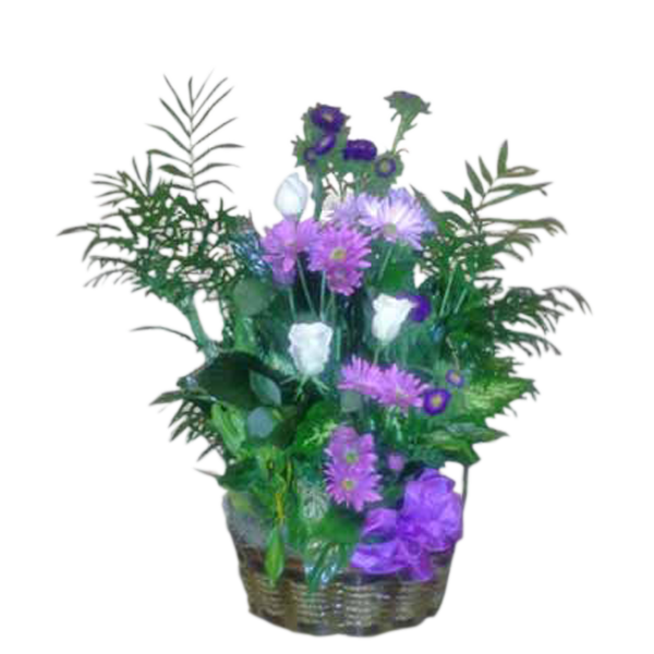Purple Garden