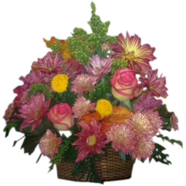 Basket of Magic