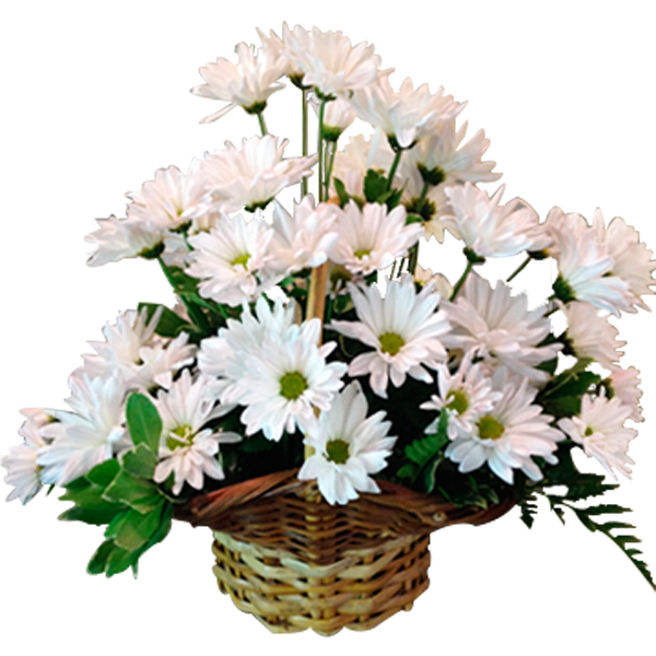 Daisy Basket