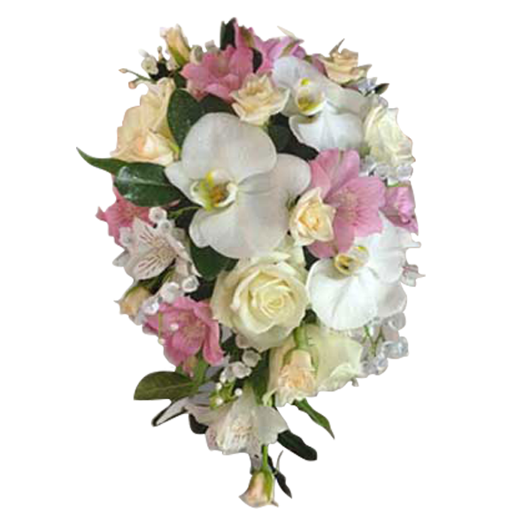 Pastel Teardrop