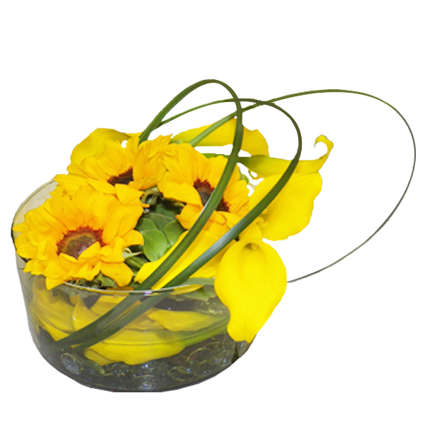 Spectacular Yellows