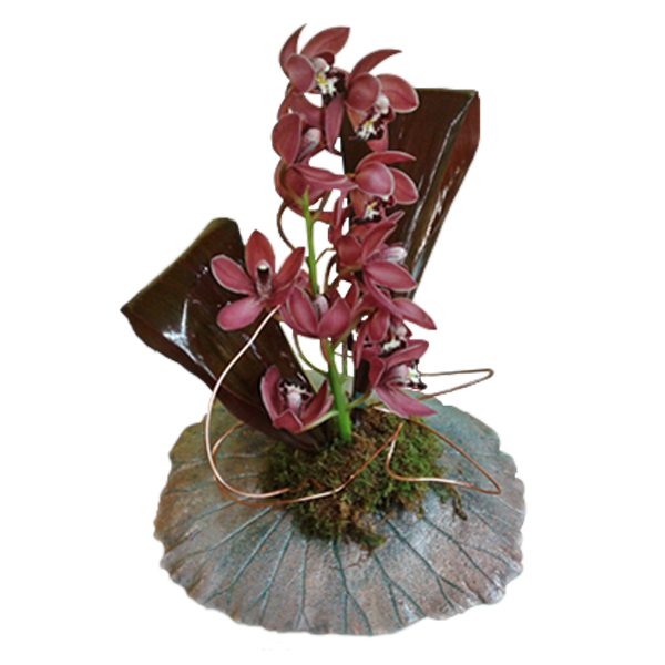 Styling With Cymbidiums