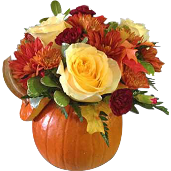 My Pretty Pumpkin