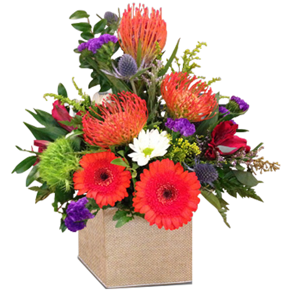 Protea on Parade