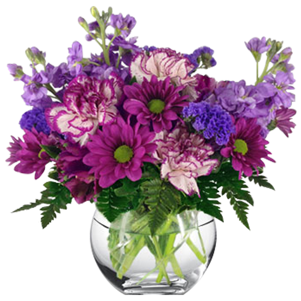 Vibrant Purples