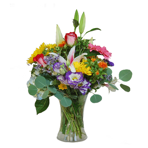 Summer Surprise