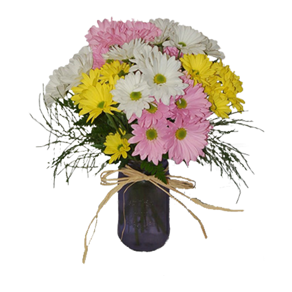 Daisy Jar