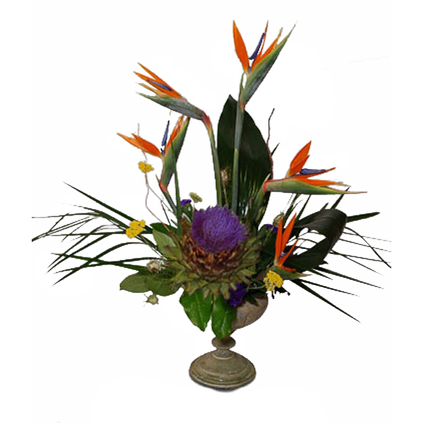 Artichoke Bird Nest