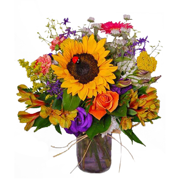 Dazzling Sunflower