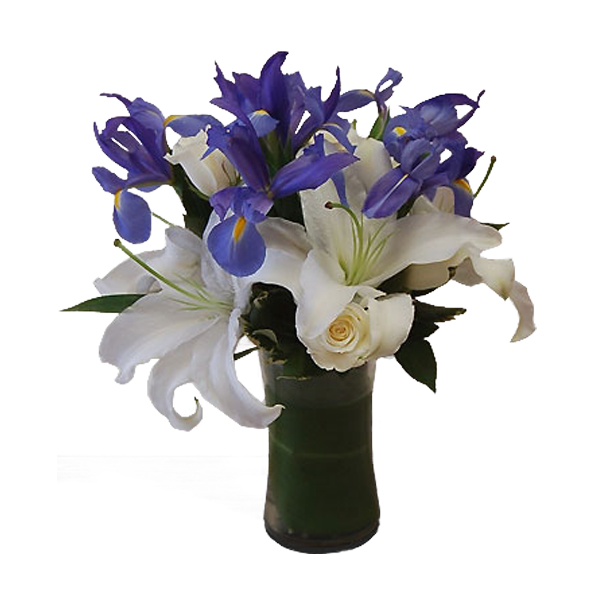 Blue and White Delight
