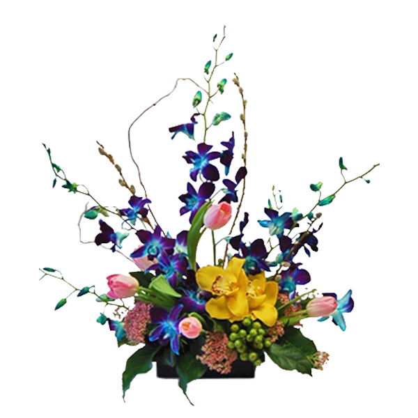 Exotic Spring