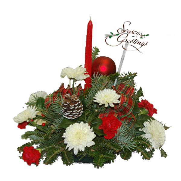 Single Candle Season’s Greeter