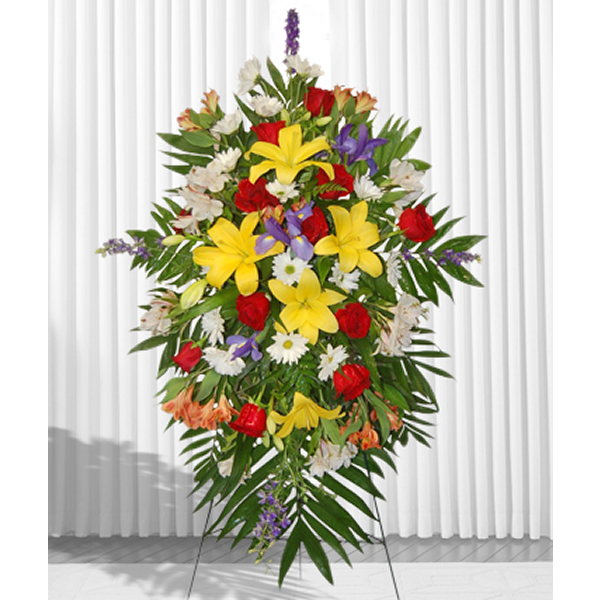 Bright Sentiments
