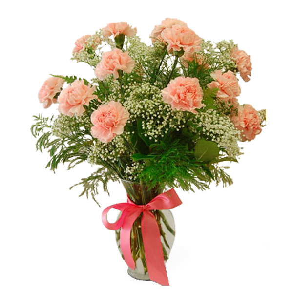 Carnation Favorite