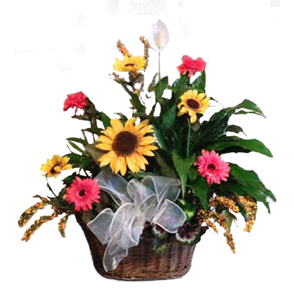 Garden of Cheer
