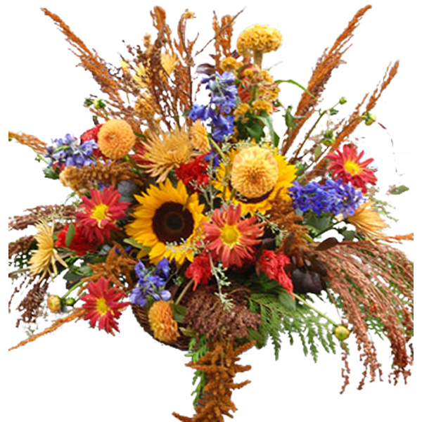 Autumn Explosion