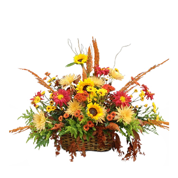 Bright Fall Garden