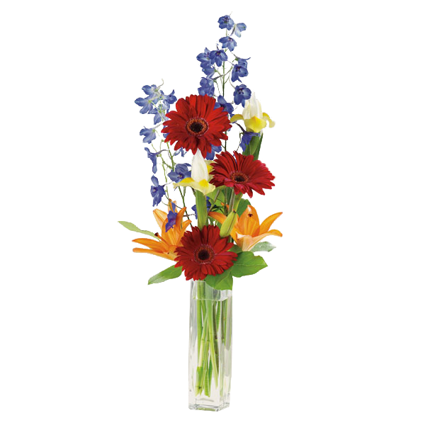 Gerbera Greeting