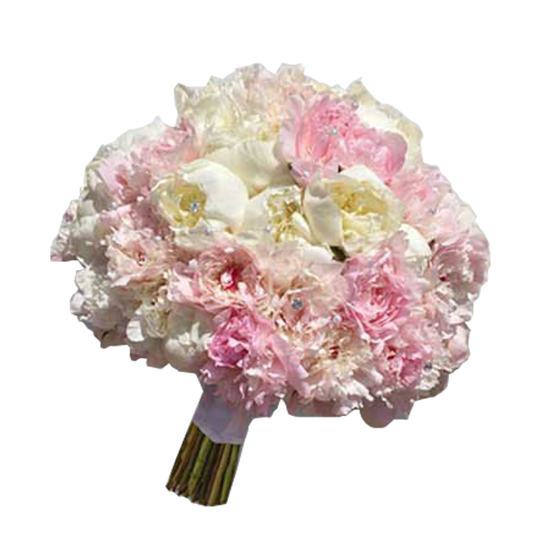 Pink Peonies
