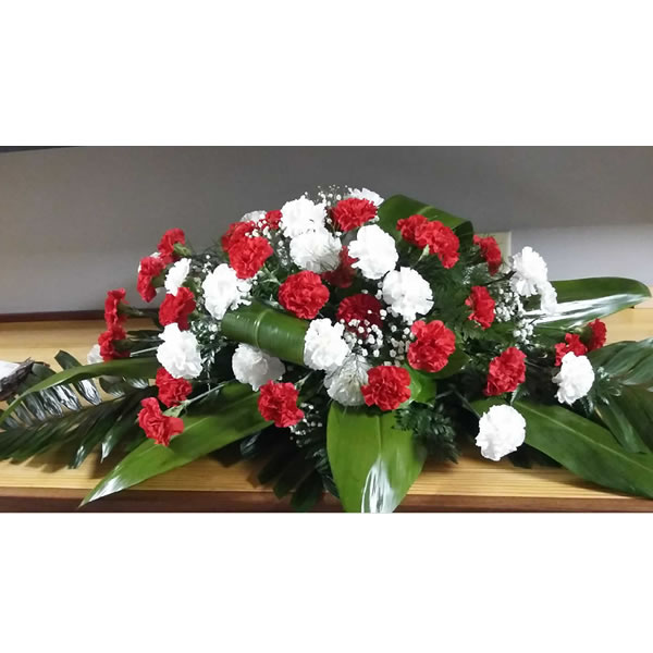 Red & White Splendor