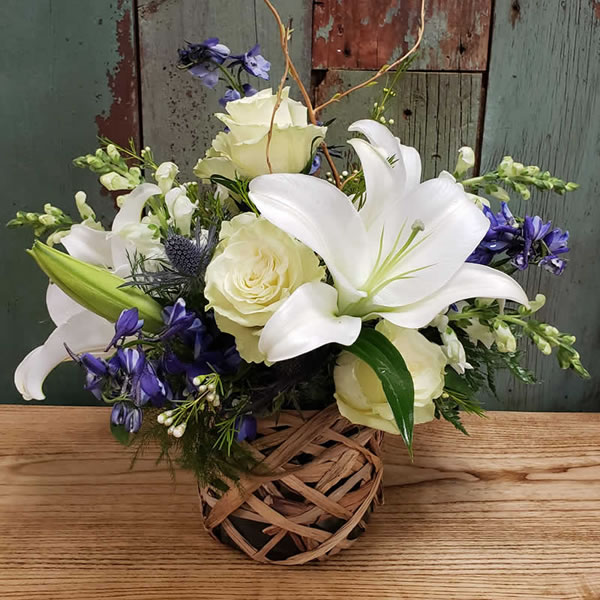 Star White Lily