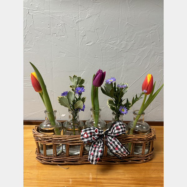 Tulips and Monte Casino