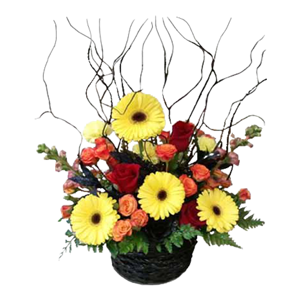 Spooky Blooms