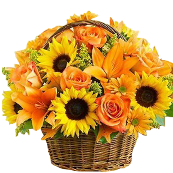 Warm Wishes