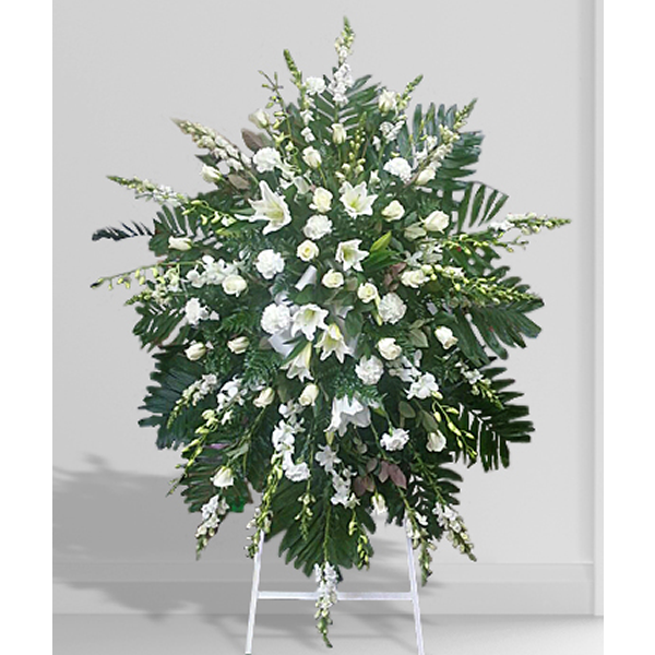 Spectacular Whites