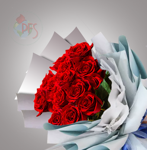 Wrapped Dozen Roses